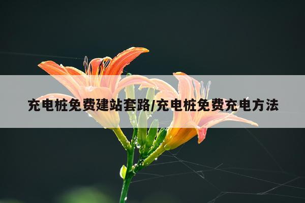 充电桩免费建站套路/充电桩免费充电方法