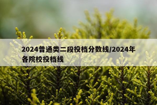 2024普通类二段投档分数线/2024年各院校投档线