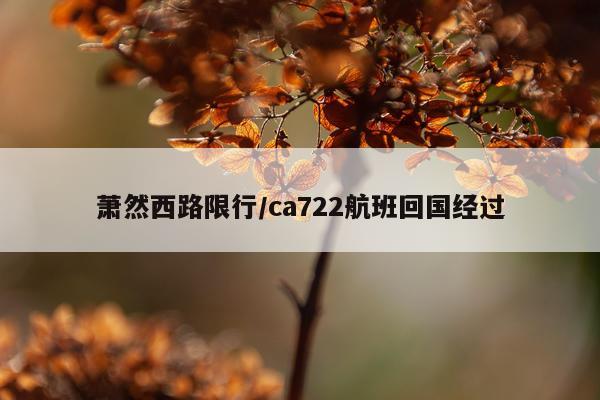 萧然西路限行/ca722航班回国经过