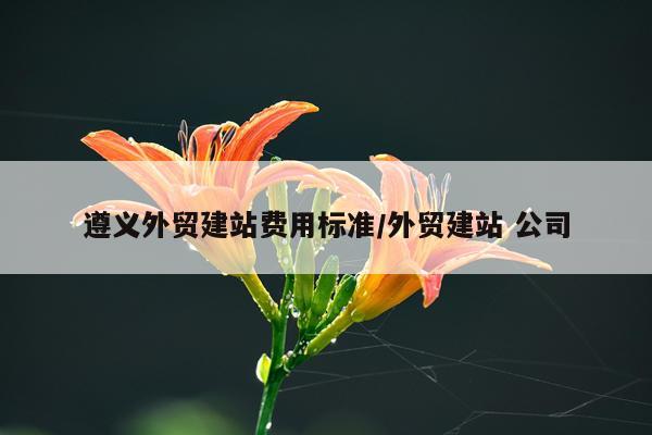 遵义外贸建站费用标准/外贸建站 公司