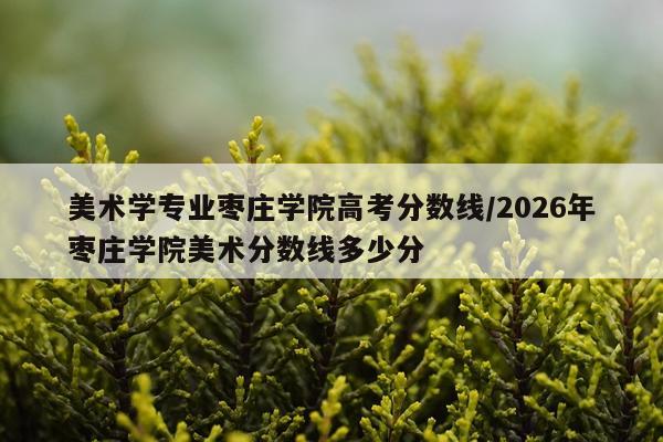 美术学专业枣庄学院高考分数线/2026年枣庄学院美术分数线多少分