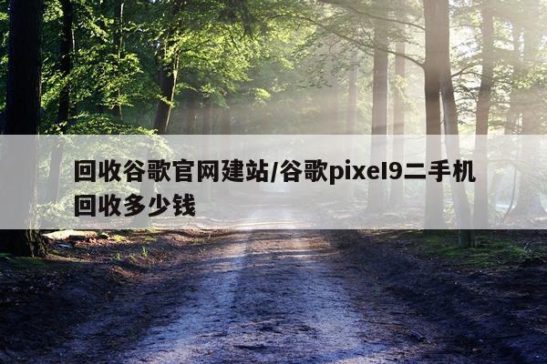 回收谷歌官网建站/谷歌pixeI9二手机回收多少钱