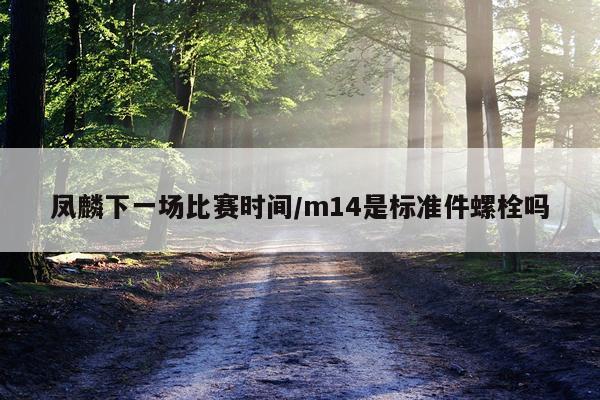 凤麟下一场比赛时间/m14是标准件螺栓吗