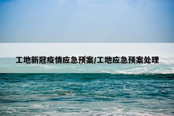 工地新冠疫情应急预案/工地应急预案处理
