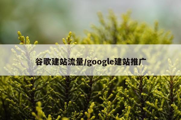 谷歌建站流量/google建站推广