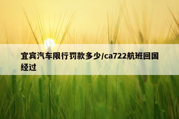 宜宾汽车限行罚款多少/ca722航班回国经过