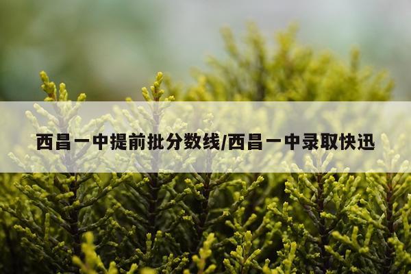 西昌一中提前批分数线/西昌一中录取快迅
