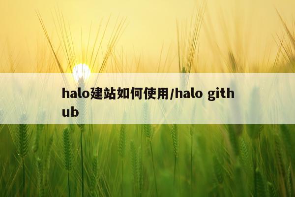 halo建站如何使用/halo github