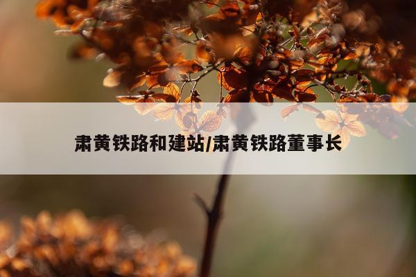 肃黄铁路和建站/肃黄铁路董事长