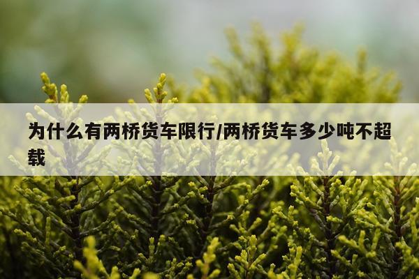 为什么有两桥货车限行/两桥货车多少吨不超载