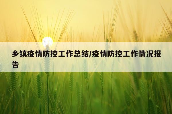乡镇疫情防控工作总结/疫情防控工作情况报告