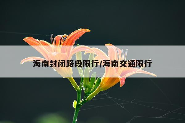 海南封闭路段限行/海南交通限行
