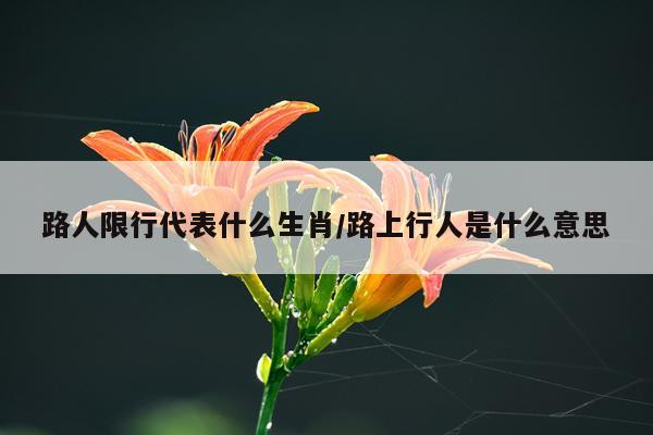 路人限行代表什么生肖/路上行人是什么意思