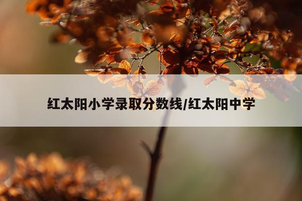 红太阳小学录取分数线/红太阳中学