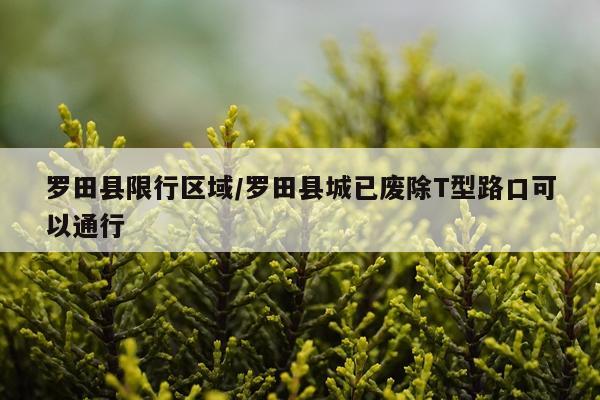 罗田县限行区域/罗田县城已废除T型路口可以通行