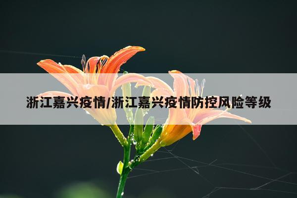 浙江嘉兴疫情/浙江嘉兴疫情防控风险等级