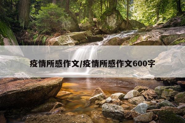 疫情所感作文/疫情所感作文600字
