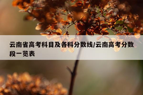 云南省高考科目及各科分数线/云南高考分数段一览表