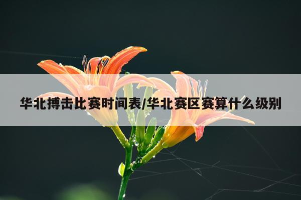 华北搏击比赛时间表/华北赛区赛算什么级别