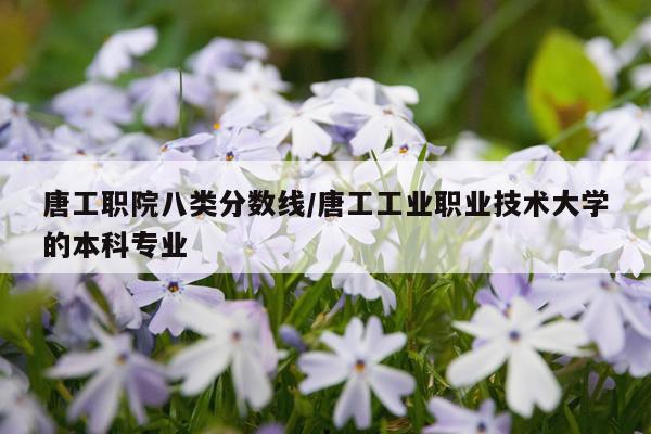 唐工职院八类分数线/唐工工业职业技术大学的本科专业