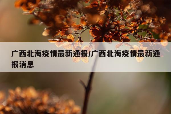广西北海疫情最新通报/广西北海疫情最新通报消息