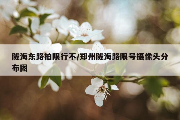 陇海东路拍限行不/郑州陇海路限号摄像头分布图