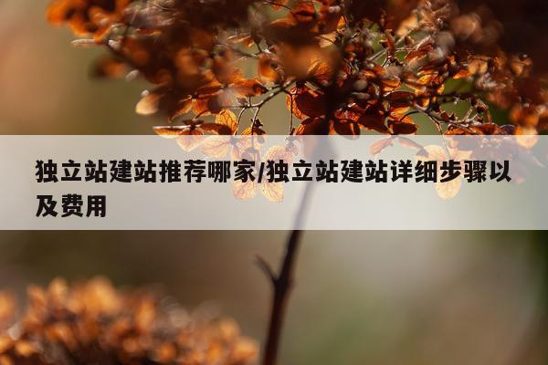 独立站建站推荐哪家/独立站建站详细步骤以及费用