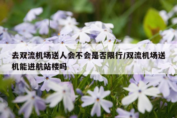去双流机场送人会不会是否限行/双流机场送机能进航站楼吗