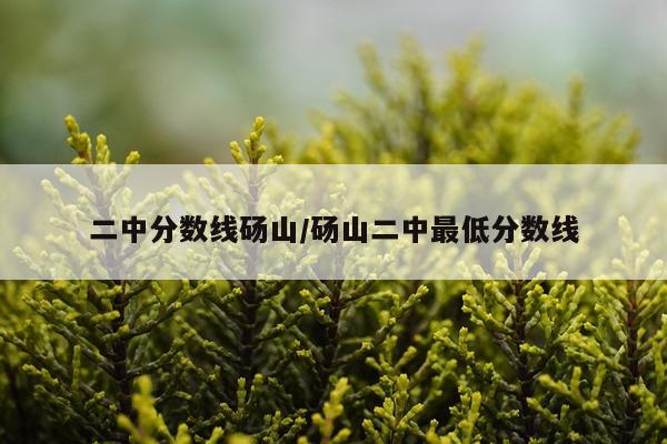 二中分数线砀山/砀山二中最低分数线