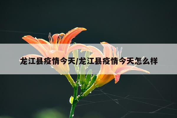 龙江县疫情今天/龙江县疫情今天怎么样