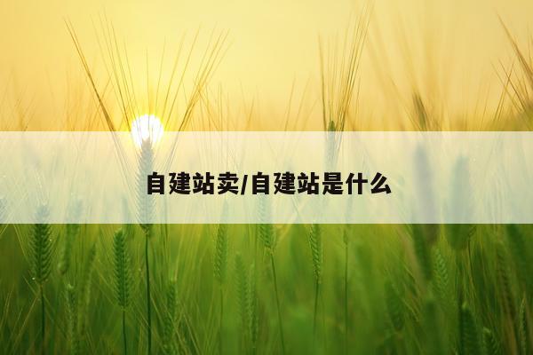 自建站卖/自建站是什么
