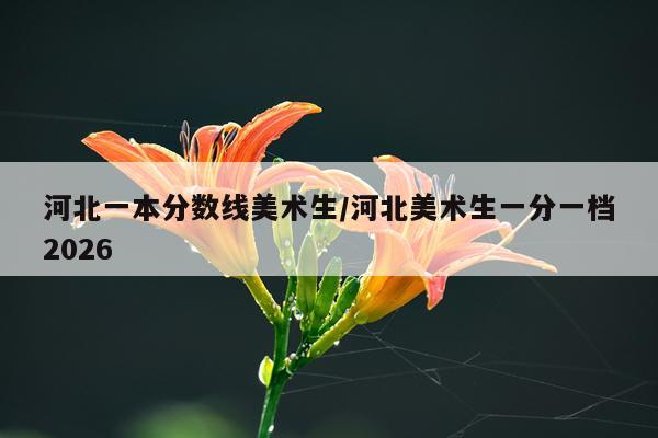 河北一本分数线美术生/河北美术生一分一档2026