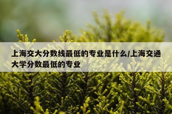 上海交大分数线最低的专业是什么/上海交通大学分数最低的专业