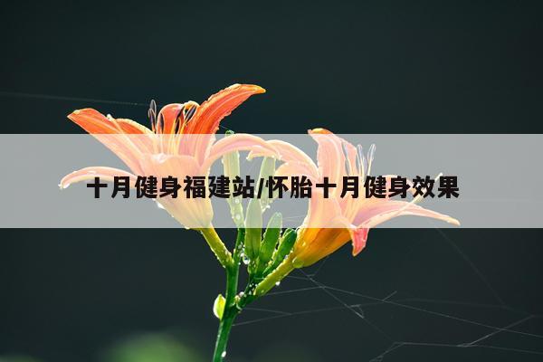 十月健身福建站/怀胎十月健身效果