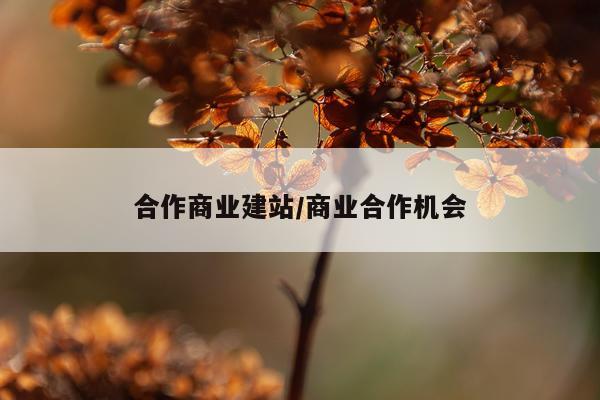 合作商业建站/商业合作机会