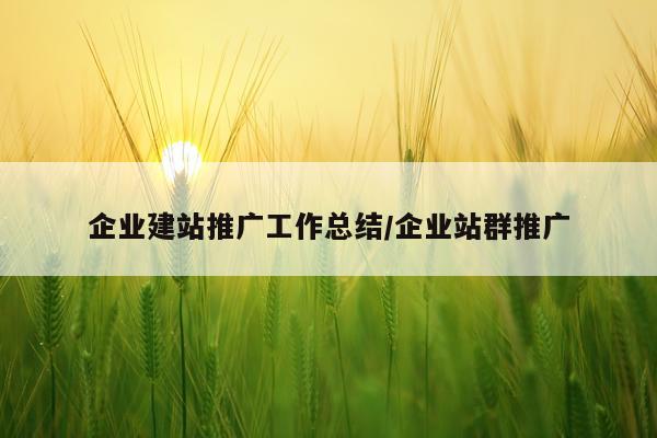 企业建站推广工作总结/企业站群推广