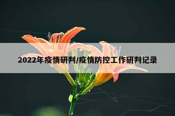 2022年疫情研判/疫情防控工作研判记录