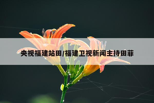 央视福建站田/福建卫视新闻主持田菲