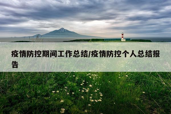 疫情防控期间工作总结/疫情防控个人总结报告