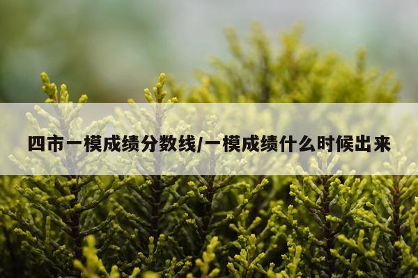 四市一模成绩分数线/一模成绩什么时候出来