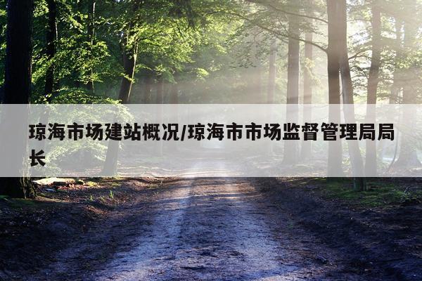 琼海市场建站概况/琼海市市场监督管理局局长