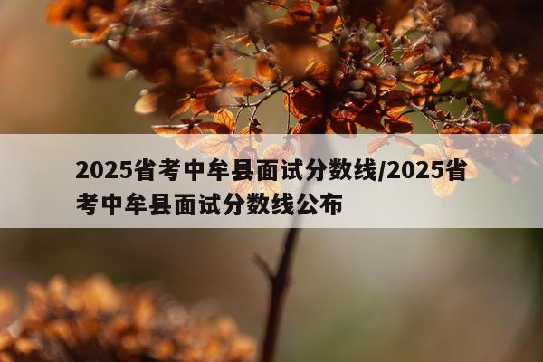 2025省考中牟县面试分数线/2025省考中牟县面试分数线公布