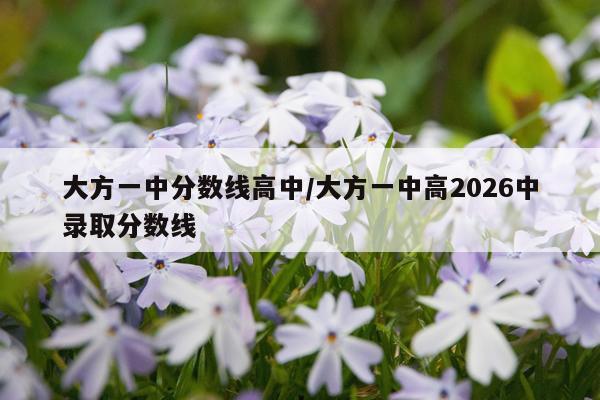 大方一中分数线高中/大方一中高2026中录取分数线