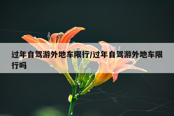 过年自驾游外地车限行/过年自驾游外地车限行吗