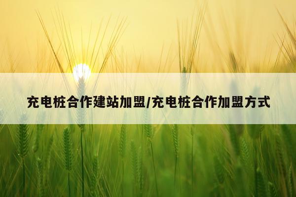 充电桩合作建站加盟/充电桩合作加盟方式