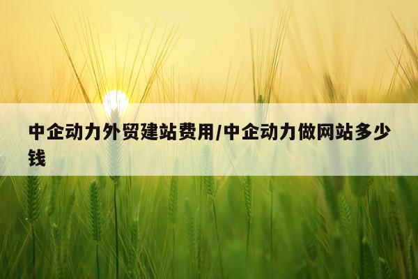 中企动力外贸建站费用/中企动力做网站多少钱