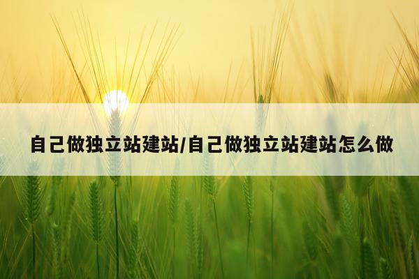 自己做独立站建站/自己做独立站建站怎么做