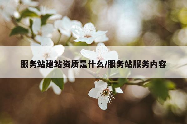 服务站建站资质是什么/服务站服务内容