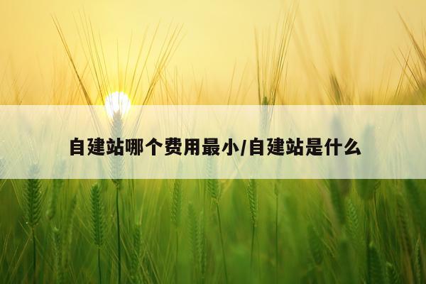 自建站哪个费用最小/自建站是什么