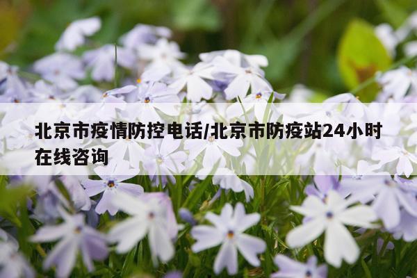 北京市疫情防控电话/北京市防疫站24小时在线咨询